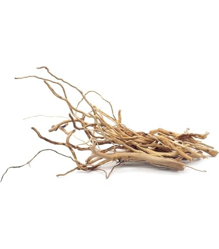 Amazon | カミハタ タイ産天然流木 ブランチウッド S 約27×21×19cm