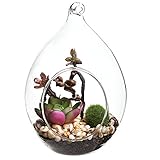 Decorative Round Glass Hanging Artificial Succulent Plant Display / Tabletop Faux Plant Terrarium Va