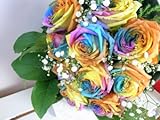 虹色のバラ！お祝いに！和風のラッピングでお届け レインボーローズの花束　バラの花束　20本　生花