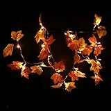 親Chritmas文字列ライト