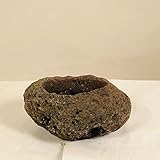 鉢：薩摩産 軽石Ｍ*13-15ｃｍ　さつま　かるいし　サツマ　カルイシ