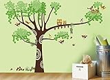 Pop Decors Big Squirrels/Owls Nursery Wall Stickers [並行輸入品]
