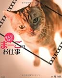 テレビねこ まーごのお仕事
