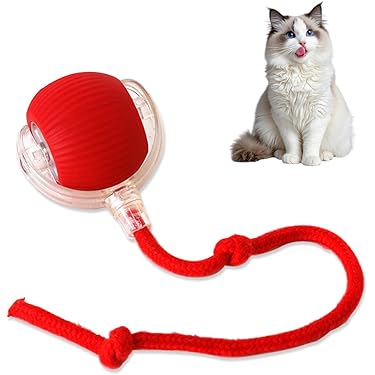 Amazon.co.jp 最新リリース: 猫用ボール の新着ランキングです。