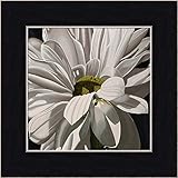 ブラックTie Daisy Ellen Macioce花額入りプリント絵画ウォールアートインテリアPicture GOG-GOGD15317-B-6x6