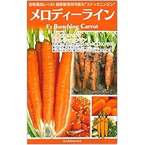 Amazon.co.jp: ニンジン 種 アロマレッド 小袋 (約5ml) : DIY