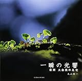 一瞬の光響 信州大自然の息吹
