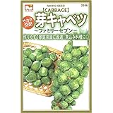 Amazon タキイ種苗 アイスプラント 花