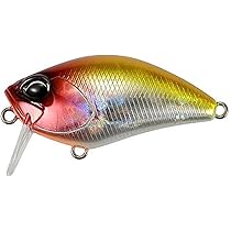 Amazon | デュオ(Duo) ﾚｱﾘｽ ｸﾗﾝｸ50SSR ｶﾌﾞｷ ADA3033 ｽﾊﾟｰｸﾘﾝｸﾞｸﾗｳﾝ