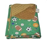 27 1/2 x 39 Ultra Soft Minky Polyester Cuddly Baby Toddler Blanket for Bed, Crib, Car or Stroller (G