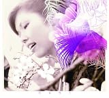 �S�̐�