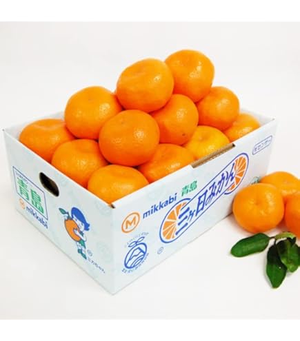 Amazon.co.jp: 糖度11度 JAみっかび 三ケ日青島みかん【優品】L