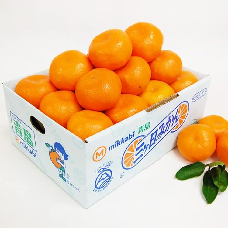 Amazon.co.jp: 糖度11度 JAみっかび 三ケ日青島みかん【優品】L