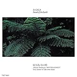 ���v��/���̎�