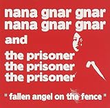FALLEN ANGEL ON THE FENCE