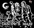 Destiny's Maze (ディスティニーズ・メイズ)