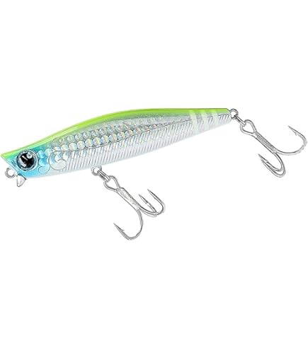 Amazon.co.jp: Apia Foojin'RS SPRINGER 88ML : Sports & Outdoors