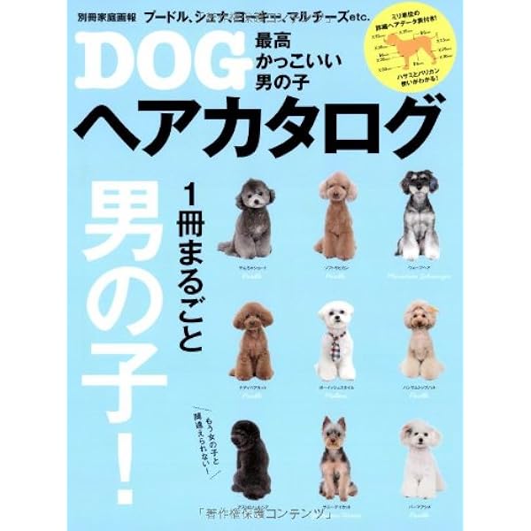 最高かっこいい男の子dogヘアカタログ 別冊家庭画報 世界文化社 本 通販 Amazon