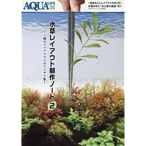 水草レイアウト制作ノート2 水草レイアウト制作ノート2