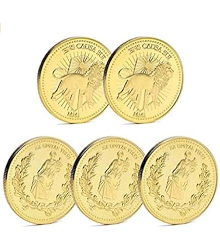 Amazon.co.jp: QINGFENG 記念コインゴールドメッキブラッドオース