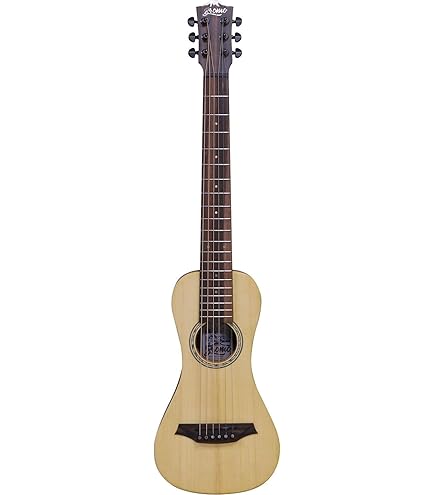 Backpacker Guitar アコースティックギター マーティン Steel String Backpacker Guitar (アコースティック