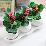 本物 そっくり 赤い実の かわいい インテリアグリーン 白い 3連 ポット入り