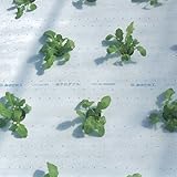 白黒マルチ（全面有孔）　幅180cm×長さ200m　2本セット