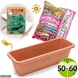 収穫まで50日 「サラダ菜」栽培セット 種・土・鉢底石・プランターの4点セット 家庭菜園