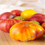 Milk red tomato seeds, cherry tomatoes, tomato seeds organic fruits and vegetables - 20 Seed particl