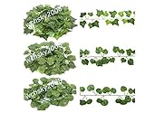 cyndie 雑貨 造花 壁掛け インテリア 壁掛 グリーン 緑 植物 吊り (1本) 200cm　小さい　ハート形 葉