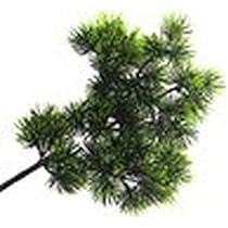 マツの葉 M31nebula on X: 