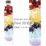 虹のハーバリウム 【Nott】 Bifrost SERIES 紫陽花 デイジー ペッパーベリー herbarium