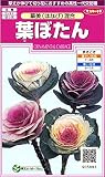 サカタのタネ 実咲花5893 葉ぼたん 華美(はなび)混合 00905893