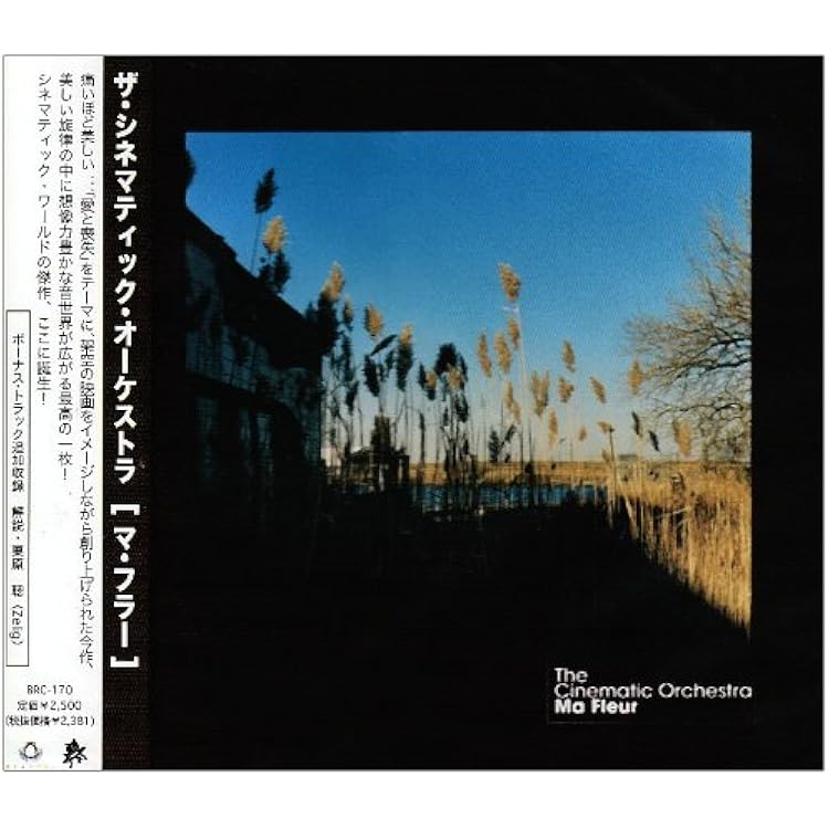 Amazon.co.jp: Ma Fleur( プラスチックケース): ミュージック