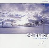 �I���S�[���E�����N�V���O NORTH WIND �`���R��t��i�W�`