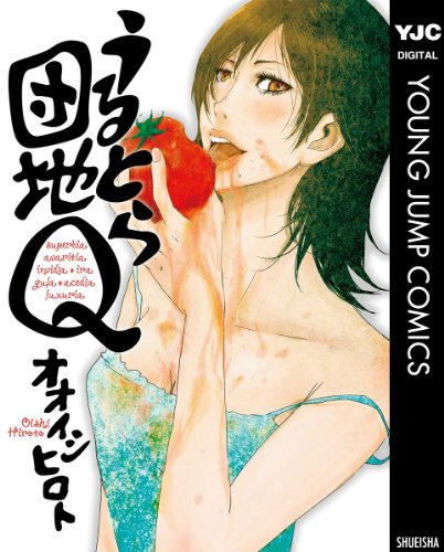 『うるとら団地Q』