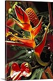 Dana Edmundsプレミアム「美しいthick-wrapキャンバス壁アートプリントトロピカルBouquet Flower Arrangement withヘリコニア 32" x 48" 2000