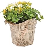 Boston International Flower Stand Clover Leaf, Yellow, Medium [並行輸入品]