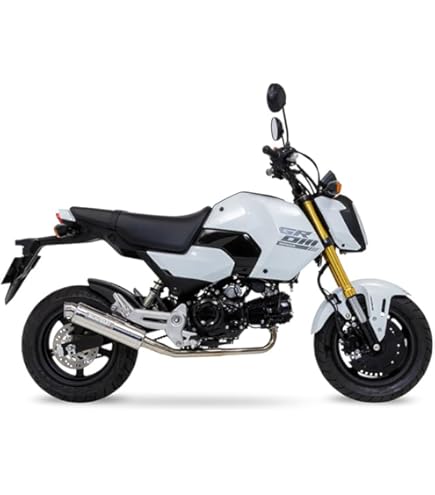 Amazon | ビームスモーターカンパニー(Beams Motor Company) R-EVO SMB