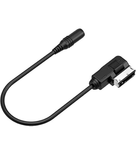 【カスタム依頼品】AUXケーブル含む　合計3点 Amazon.co.jp: カーラジオ AMI に AUX ケーブル 3.5 ミリメートル MP3