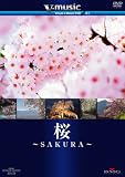 V-music01�u���`SAKURA�`�v