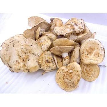 ちょびる＆ぴぐ&ゆみたこ　松茸1キロ 中国産 松茸 1KG」の人気商品一覧 | 安い商品を通販サイトから