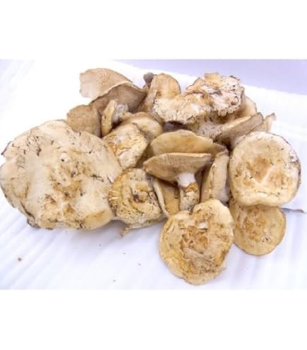 岩手県久慈市産【高級、松茸、つぼみ含】224g 即日発送可】 松茸 国産