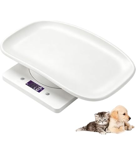 Amazon | [獣医師開発] つくばドッグミルク 1kg [感染防御] | つくば