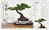 プラッツ 1/12 ザ・盆栽 弐 w/エッチング製剪定鋏 プラモデル BON-02SP