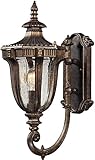 Elk 45060/1 8 by 17-Inch Sturgess Castle 1-Light Outdoor Wall Sconce with Seedy Glass Shade, Regal B