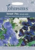 【輸入種子】 Johnsons Seeds Sweet Pea SKYLARK MIXED スイート・ピー・スカイラーク・ミックス ジョンソンズシード