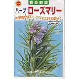 ハーブ ローズマリー (315)