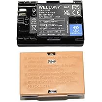 Amazon | Homesuit LP-E6P バッテリー 2200mAh 2個入り 充電器セット