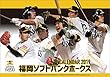 福岡ソフトバンクホークス 2019年 カレンダー 卓上 A5 CL-534